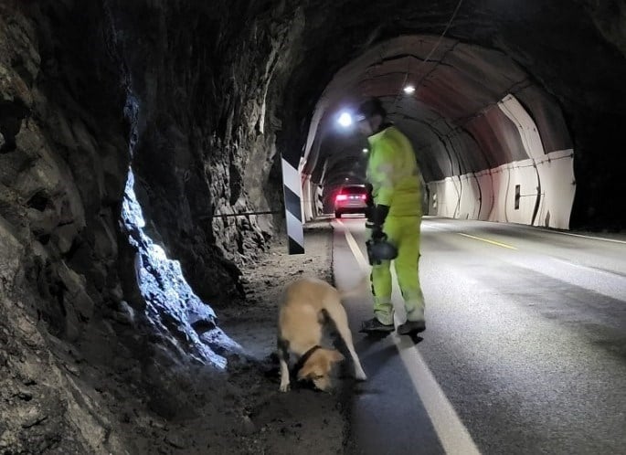 Hundesøk etter sprengstoff i tunnel kan virka dramatisk, men det er det ikkje. 