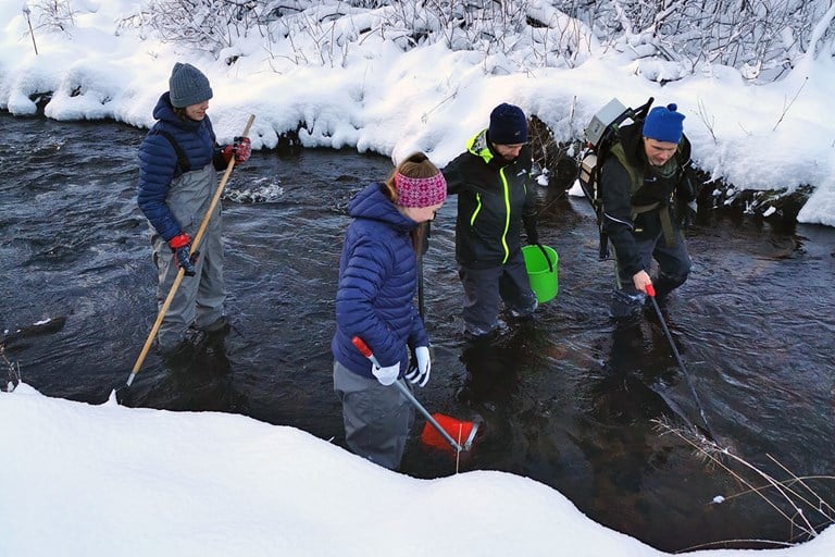 Personar ute i elv med vadebukser, søker etter bunndyr for biologisk kartlegging
