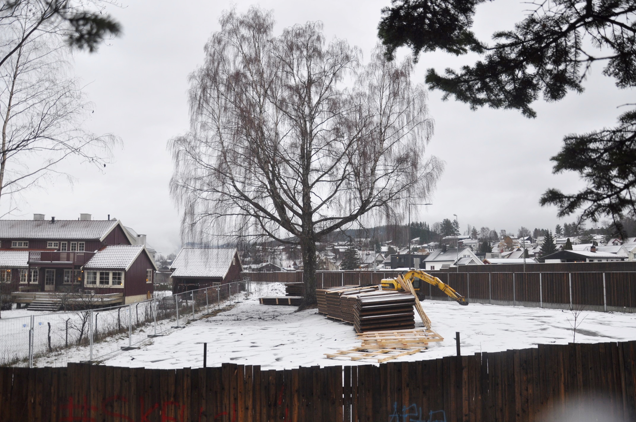 Hus og frukttrær måtte vike, men bjørka fikk stå for ny veg. (Foto: Kjell Wold)