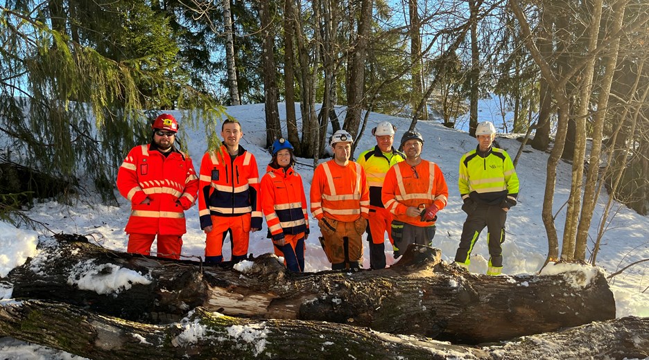Representanter fra Skanska, Statens vegvesen og Bærum kommune konstaterer at hul-eika nå er trygt plassert på Stubberud Skogpark