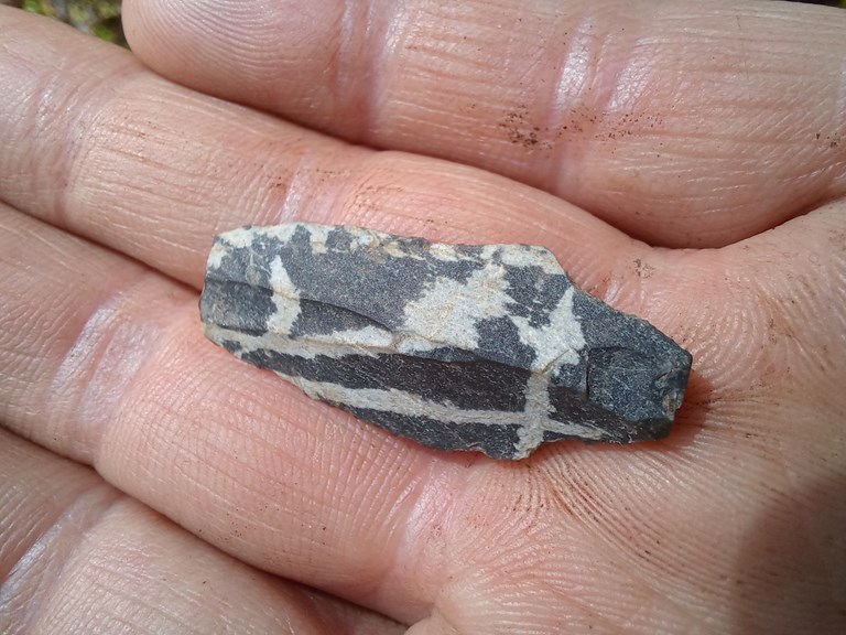 Arkeologane har blant anna funne ein pilspiss frå yngre steinalder som  har skotskade i odden. 